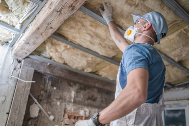 Best Spray Foam Insulation  in Beecher, MI