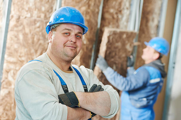 Best Insulation Contractors for Homes  in Beecher, MI