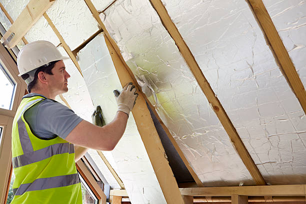 Best Insulation Removal  in Beecher, MI